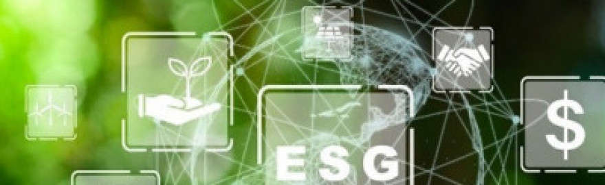 ESG – Nutzen Sie die Zeit für die Implementierung im Jahr 2024 effekti