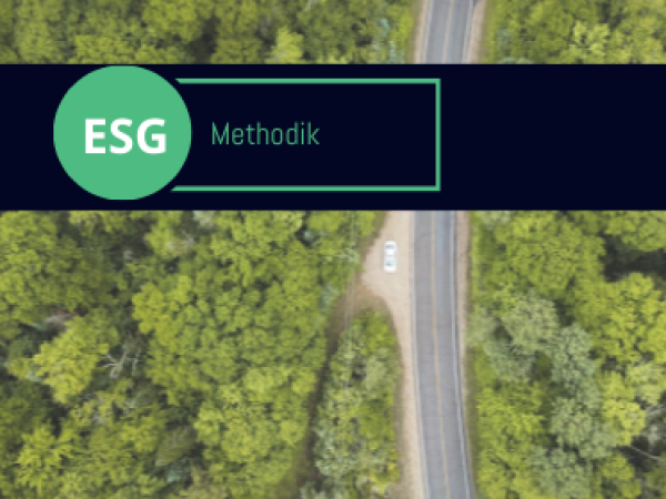 ESG-Methodik - ein Werkzeug zur Überprüfung der Verantwortung Ihres Unternehmens