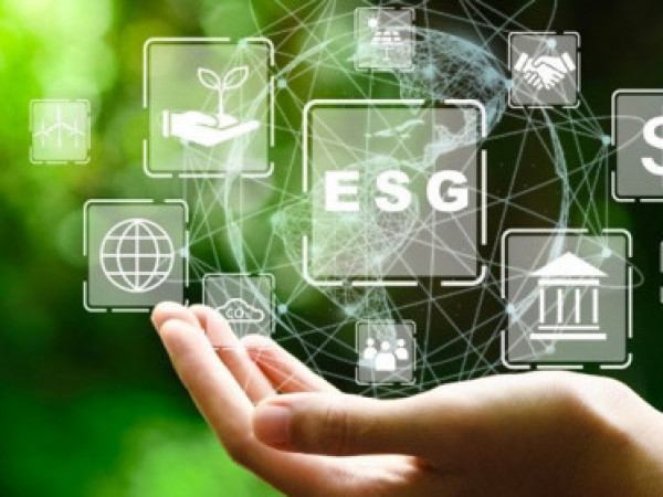 ESG – Nutzen Sie die Zeit für die Implementierung im Jahr 2024 effektiv. Machen Sie den ersten Schritt und beginnen Sie mit der Vorbereitung und Schulung im Bereich ESG in Ihrer Organisation!