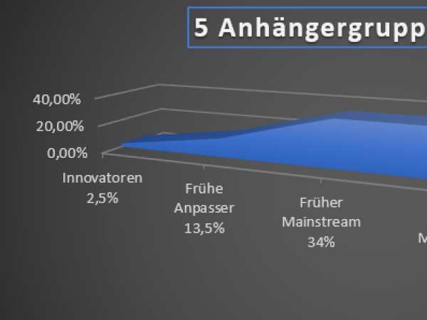 Innovationen in projektorientierten Organisationen