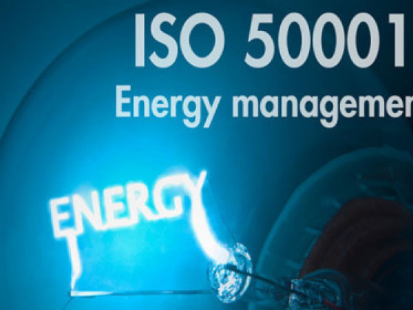Dozent für Energiemanagement / Fachkraft für Energieeffizienz (w/m/d)