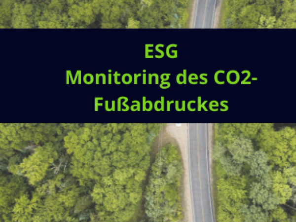 Dozent für den Bereich ESG - Environmental Social Governance & Carbon Footprint Monitoring & Assessment (w/m/d)